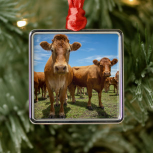 Ornement Carré Argenté Farms Brown cow