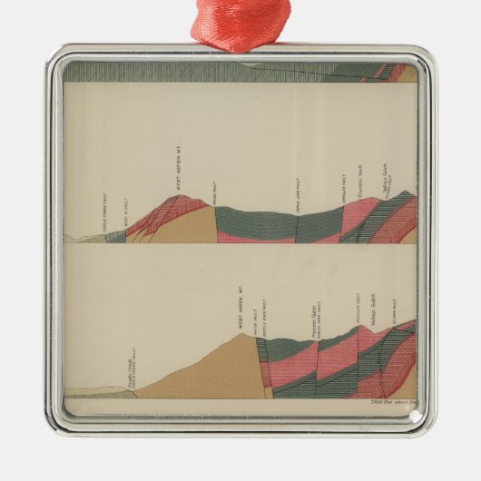 Ornement Carré Argenté Feuille de Special d'Aspen (Devant)