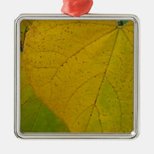 Ornement Carré Argenté Feuilles Jaunes de Cercis Automne Photographie de