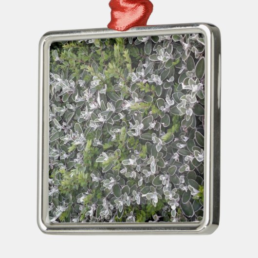 Ornement Carré Argenté feuilles printaniers de buissons dans le parc moti (Gauche)