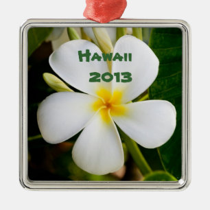 Ornement Carré Argenté Fleur de Plumeria Hawaïenne Souvenir