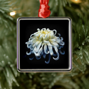 Ornement Carré Argenté Fleurs Chrysanthème blanc