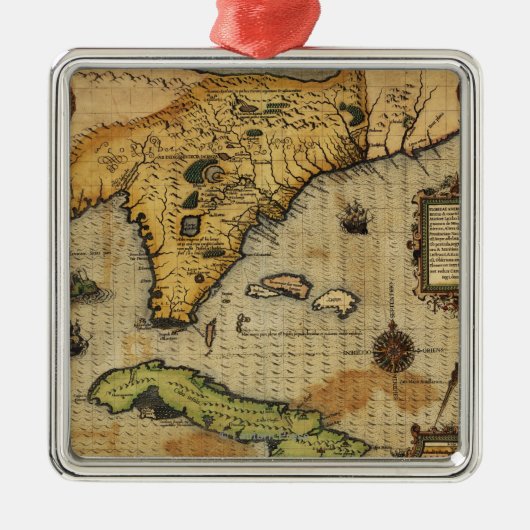 Ornement Carré Argenté FloridaPanoramic MapFlorida (Devant)