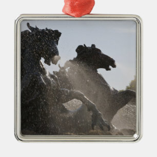 Ornement Carré Argenté Fontaine, Monument des Girondins, Bordeaux,