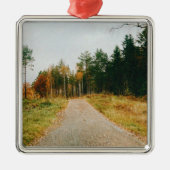 Ornement Carré Argenté Forêt automnale suédoise (Devant)