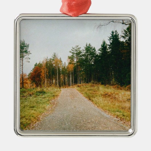 Ornement Carré Argenté Forêt automnale suédoise (Devant)