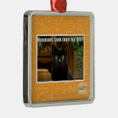 Ornement Carré Argenté Fourrure de Hoomans Taek là ? (Droite)