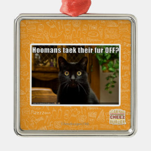 Ornement Carré Argenté Fourrure de Hoomans Taek là ?