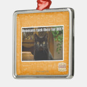 Ornement Carré Argenté Fourrure de Hoomans Taek là ? (Gauche)