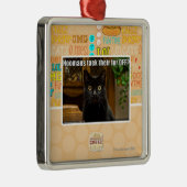 Ornement Carré Argenté Fourrure de Hoomans Taek là ? (Droite)