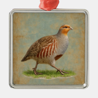 Ornement Carré Argenté French Partridge  design Christmas tree decoration