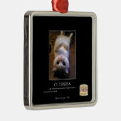 Ornement Carré Argenté Gentillesse (Droite)