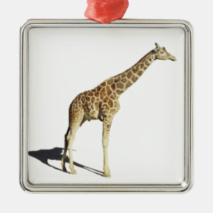 Ornement Carré Argenté Giraffe