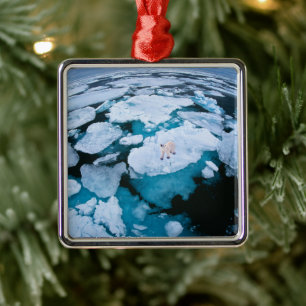 Ornement Carré Argenté Glace et neige Ours polaire, Océan Arctique, Sva