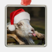 Ornement Carré Argenté Goat (Devant)