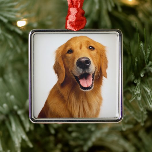Ornement Carré Argenté Golden Retriever Smile (Arbre)