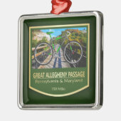 Ornement Carré Argenté Grand Passage Allegheny (vélo2) (Gauche)