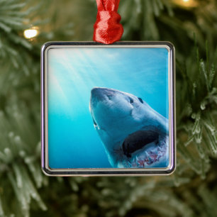 Ornement Carré Argenté Grand requin blanc Afrique du Sud