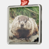 Ornement Carré Argenté Groundhog (Gauche)