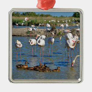 Ornement Carré Argenté Groupe de flamants et canards en Camargue
