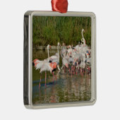 Ornement Carré Argenté Groupe de flamants roses en Camargue (Droite)