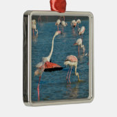 Ornement Carré Argenté Groupe de flamants roses en Camargue (Droite)