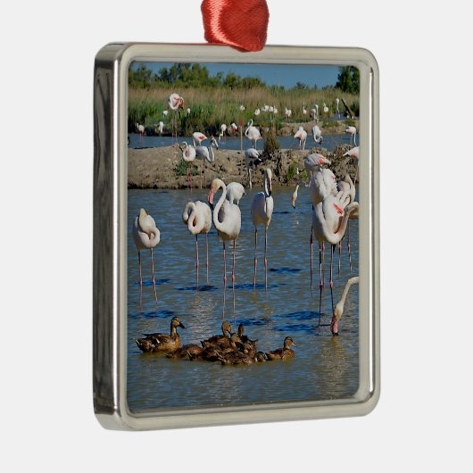 Ornement Carré Argenté Groupe de flamants roses et canards en Camargue (Droite)