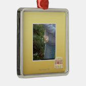 Ornement Carré Argenté Hai d'O (Droite)