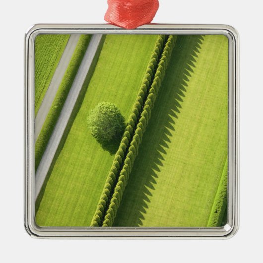 Ornement Carré Argenté Haie dans le Hamptons (Devant)