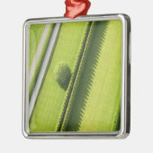 Ornement Carré Argenté Haie dans le Hamptons (Gauche)