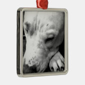 Ornement Carré Argenté harry potier cicatrice chien blanc pit bull (Droite)