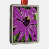 Ornement Carré Argenté Honey Bee Sur Un Daisy Africain Violet (Droite)