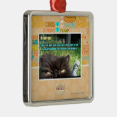 Ornement Carré Argenté Hoomanz (Droite)