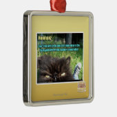 Ornement Carré Argenté Hoomanz (Droite)