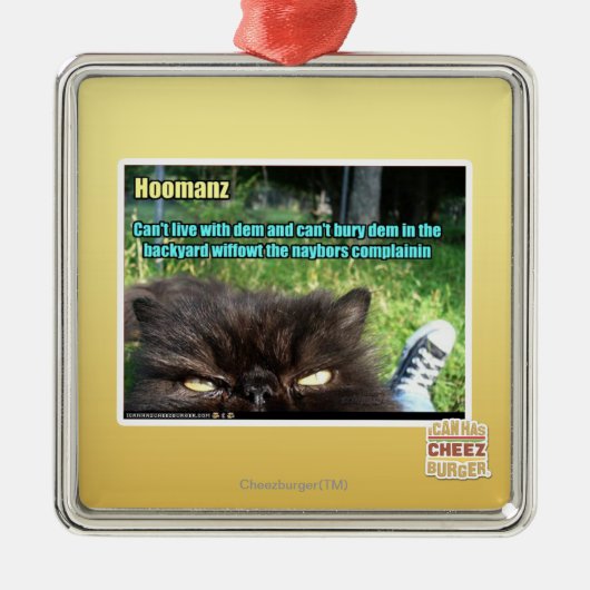 Ornement Carré Argenté Hoomanz (Devant)