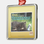 Ornement Carré Argenté Hoomanz (Gauche)