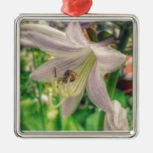 Ornement Carré Argenté Hosta and bee