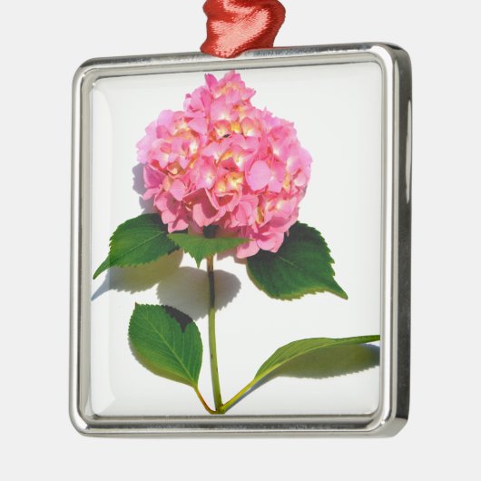 Ornement Carré Argenté Hydrangée rose fleur rose rose rose floral (Gauche)