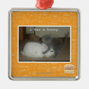 Ornement Carré Argenté I a un lapin