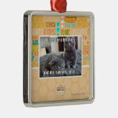 Ornement Carré Argenté I demande un frère (Droite)