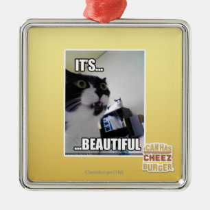 Ornement Carré Argenté Il est beau