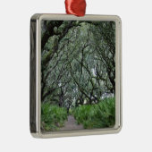 Ornement Carré Argenté Île de Cumberland (Droite)