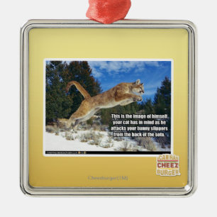 Ornement Carré Argenté Image de chat