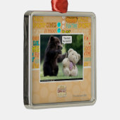 Ornement Carré Argenté Imposter ! (Droite)