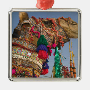 Ornement Carré Argenté INDE, Rajasthan, Pushkar : FOIRE AUX CHAMEAUX DE P