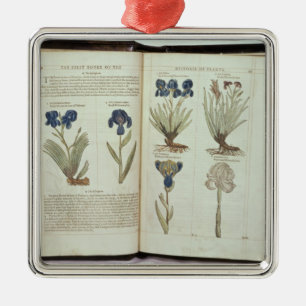 Ornement Carré Argenté Iris