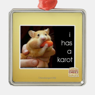Ornement Carré Argenté J'ai un karot
