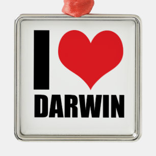 Ornement Carré Argenté J'aime Darwin