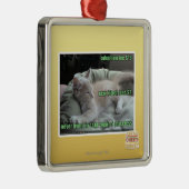 Ornement Carré Argenté Jamais ne vivant encore dans une cage (Droite)