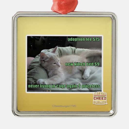 Ornement Carré Argenté Jamais ne vivant encore dans une cage (Devant)